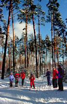 Дети и родители на лыжной прогулке в загородном лесу